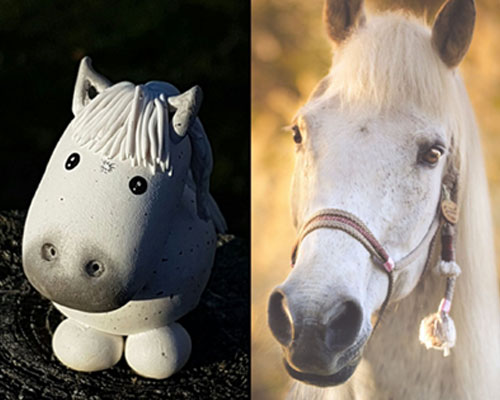 Pummels nach Fotovorlage